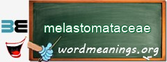 WordMeaning blackboard for melastomataceae